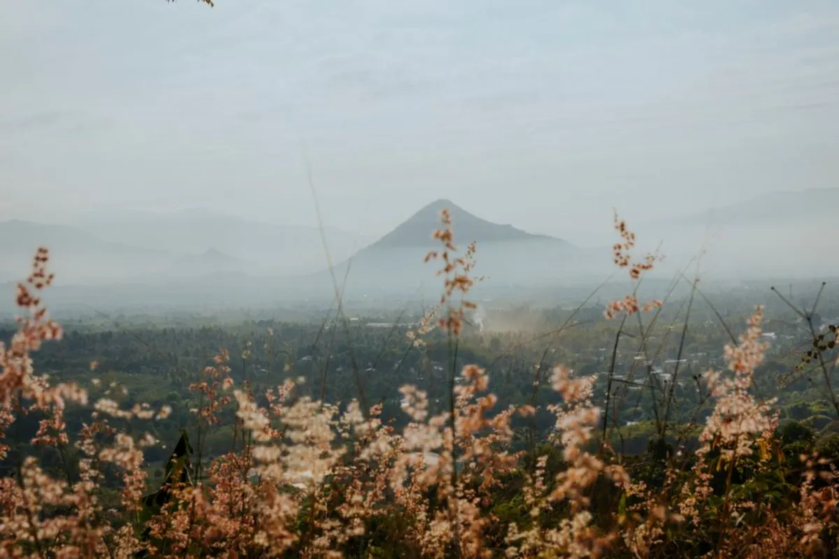 Cuaca di Toya Mampeh Bedugul Kapan Paling Sejuk?