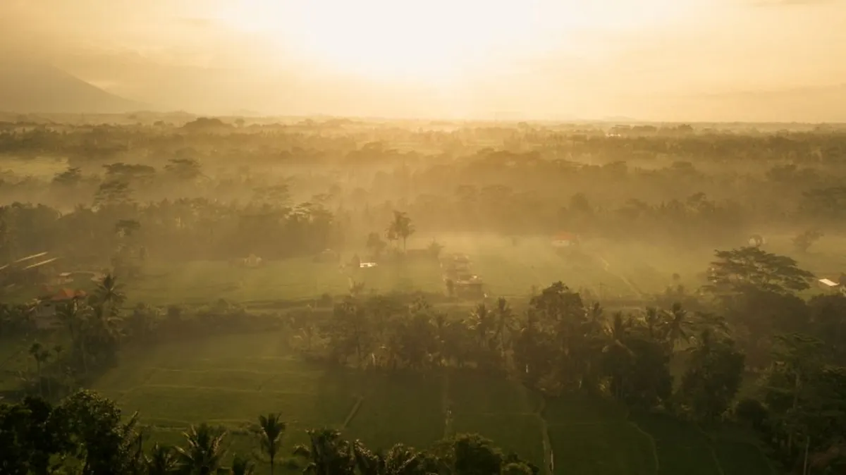 Cuaca Dingin di Bedugul dan Dampaknya pada Kendaraan Anda