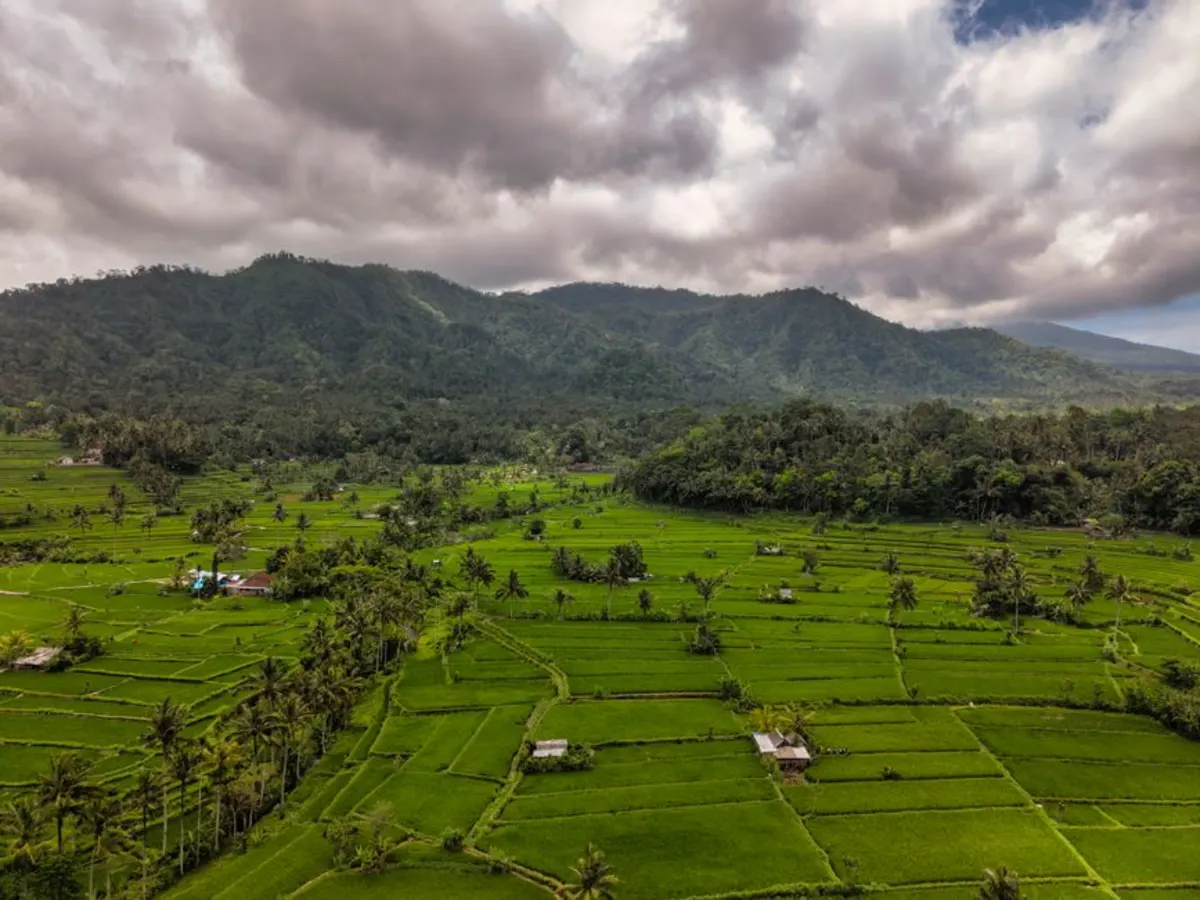 Hotel Dekat Restoran Bedugul: Pilihan Nyaman di Pelangi Homestay