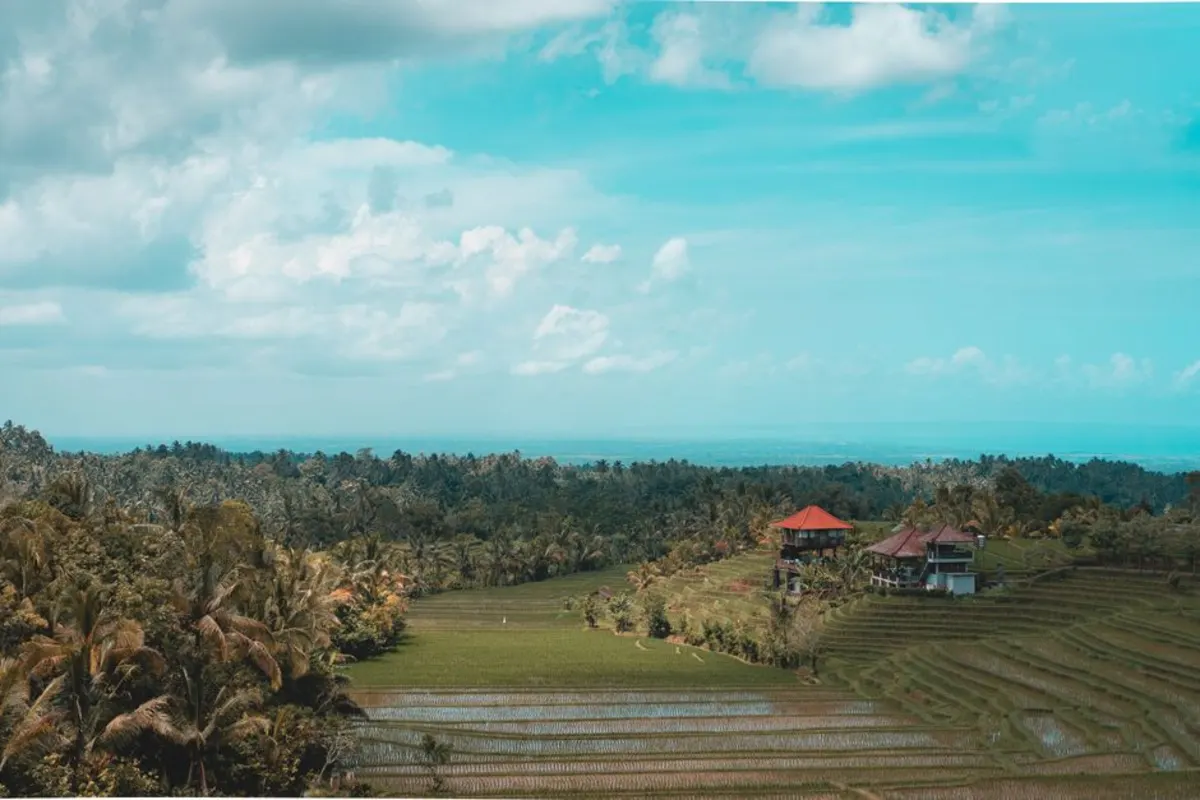 Menikmati Bedugul Asri Village, Penginapan Asri di Dataran Tinggi Bedugul