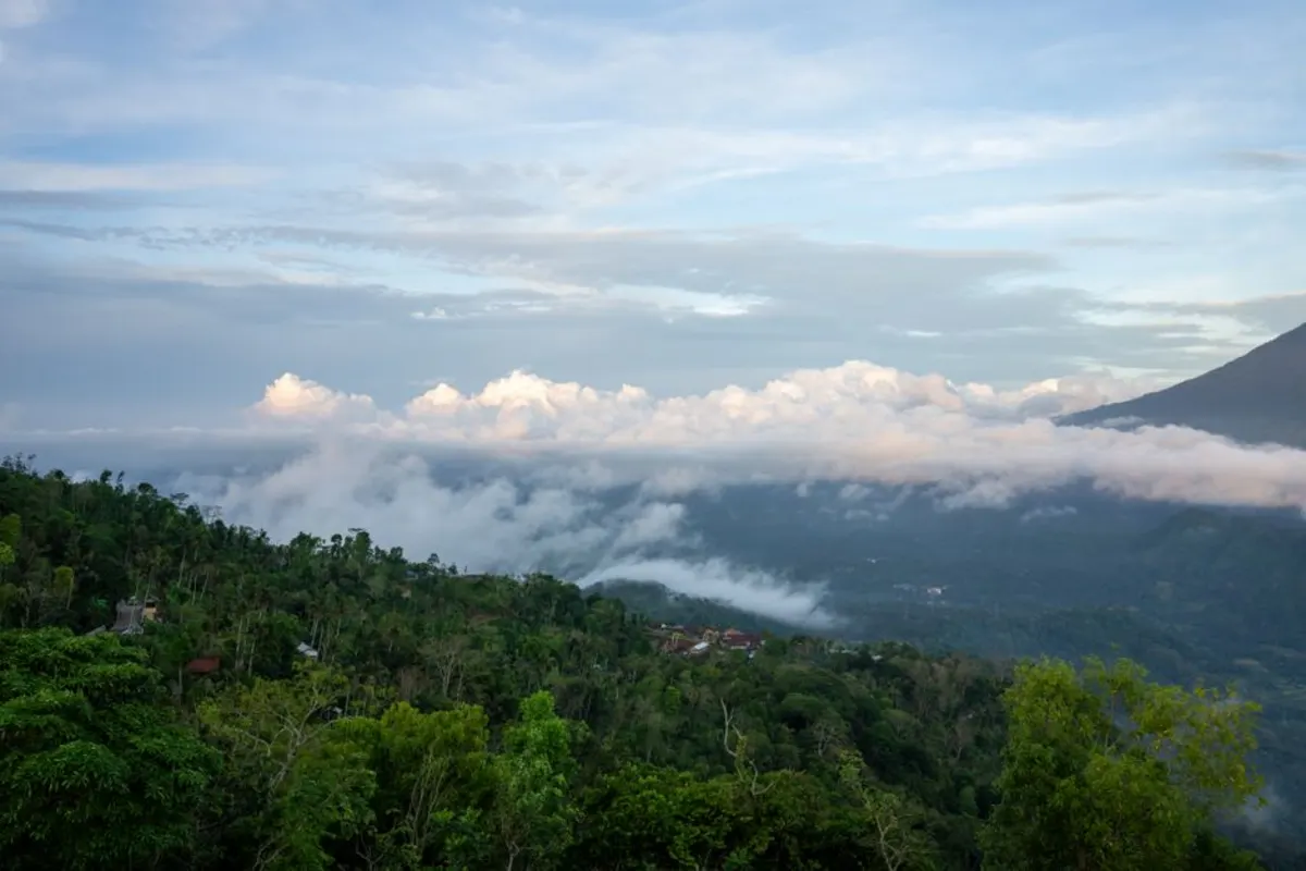 Panduan Aktivitas Seru Petik Strawberry Bedugul Bali