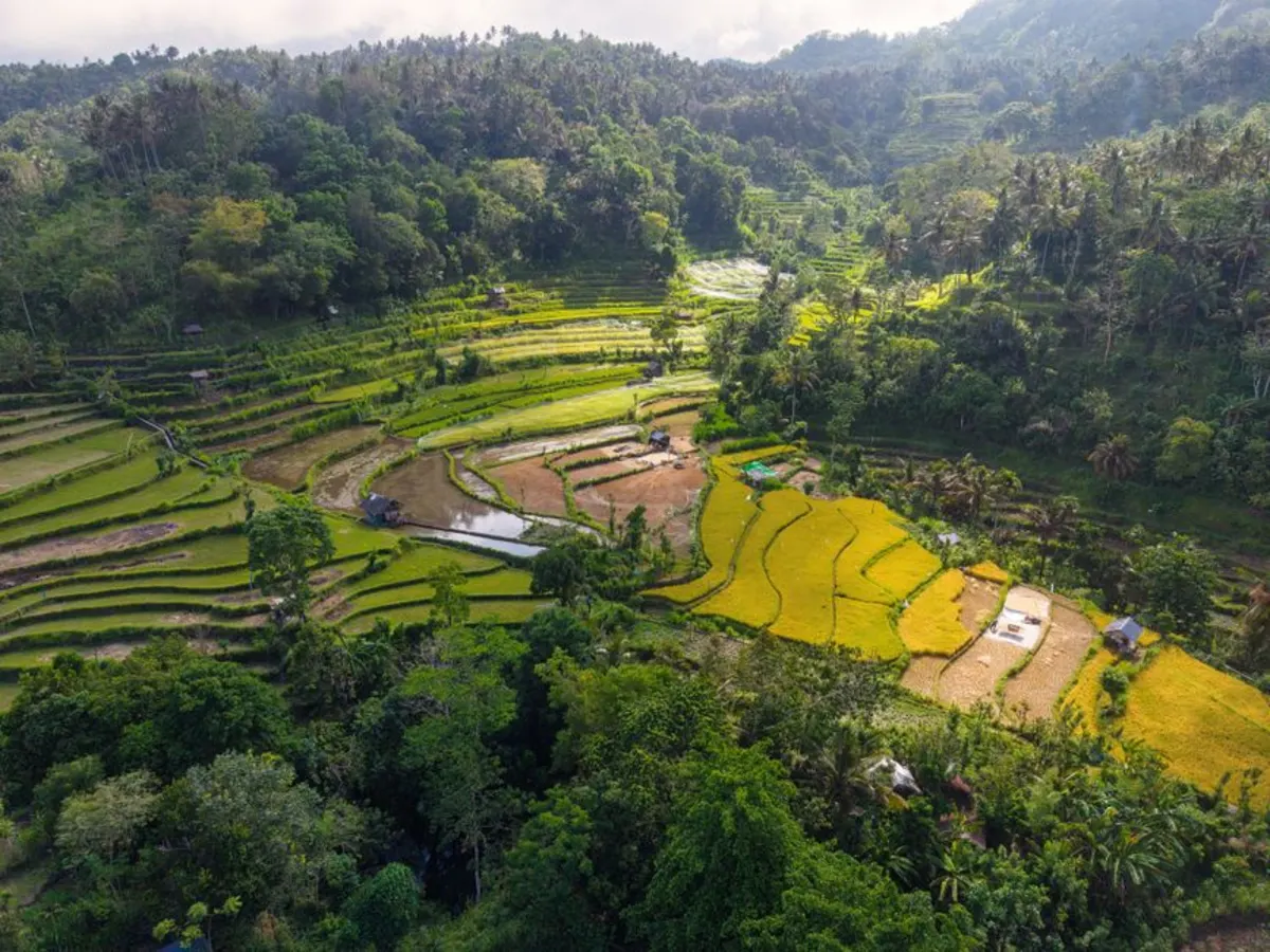 Resort dengan taman bermain anak di Bedugul — Pelangi Homestay?