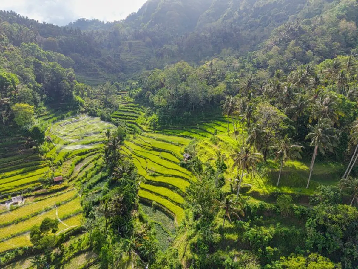 Tips Istirahat Nyaman dan Wisata di Bedugul