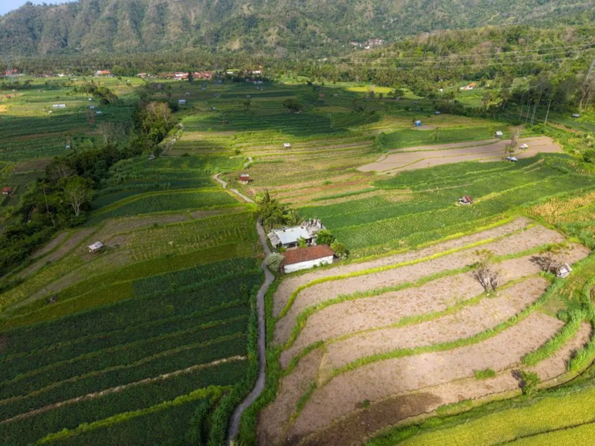 Wisata Umum di Bedugul & Lokasi Bank BRI Terdekat